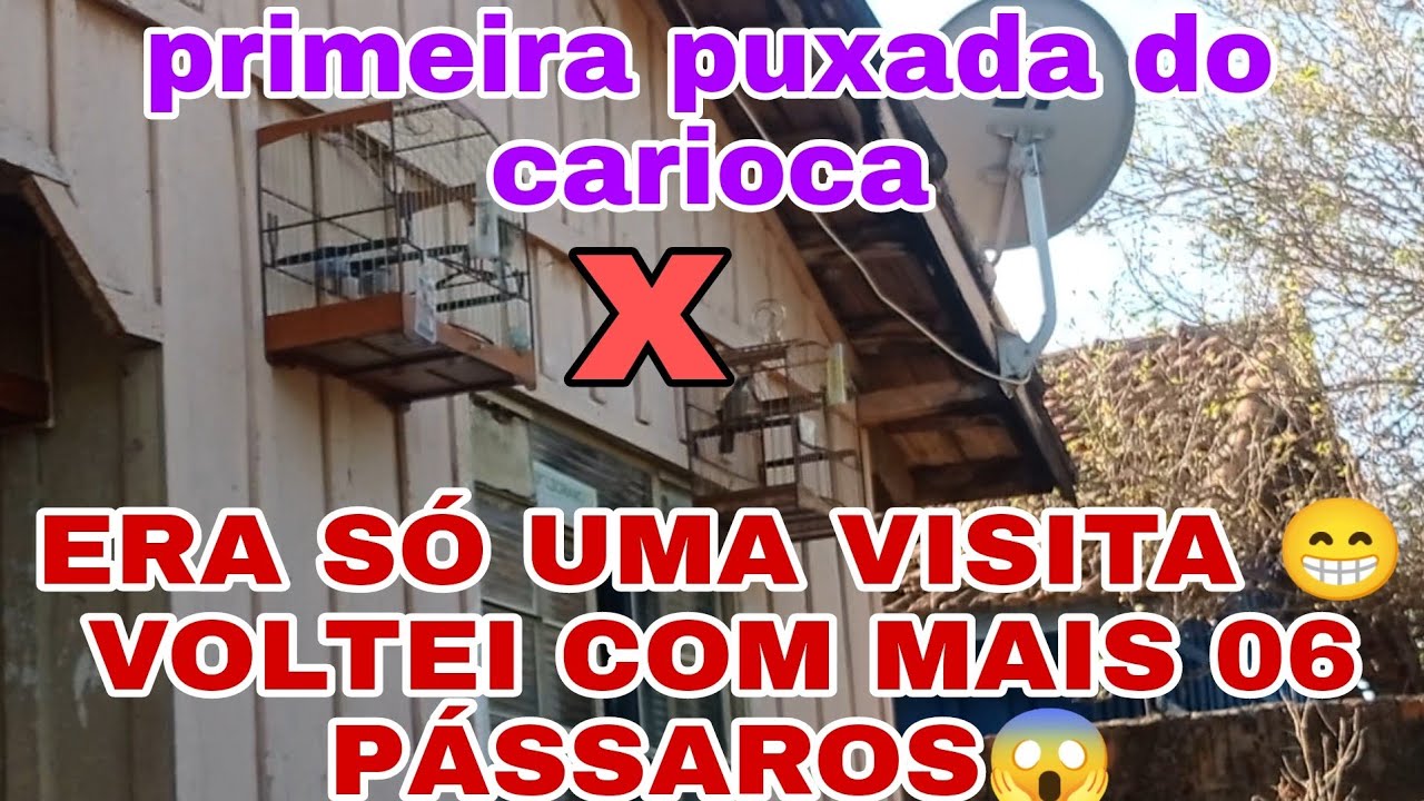 trinca ferro carioca na sua primeira puxada