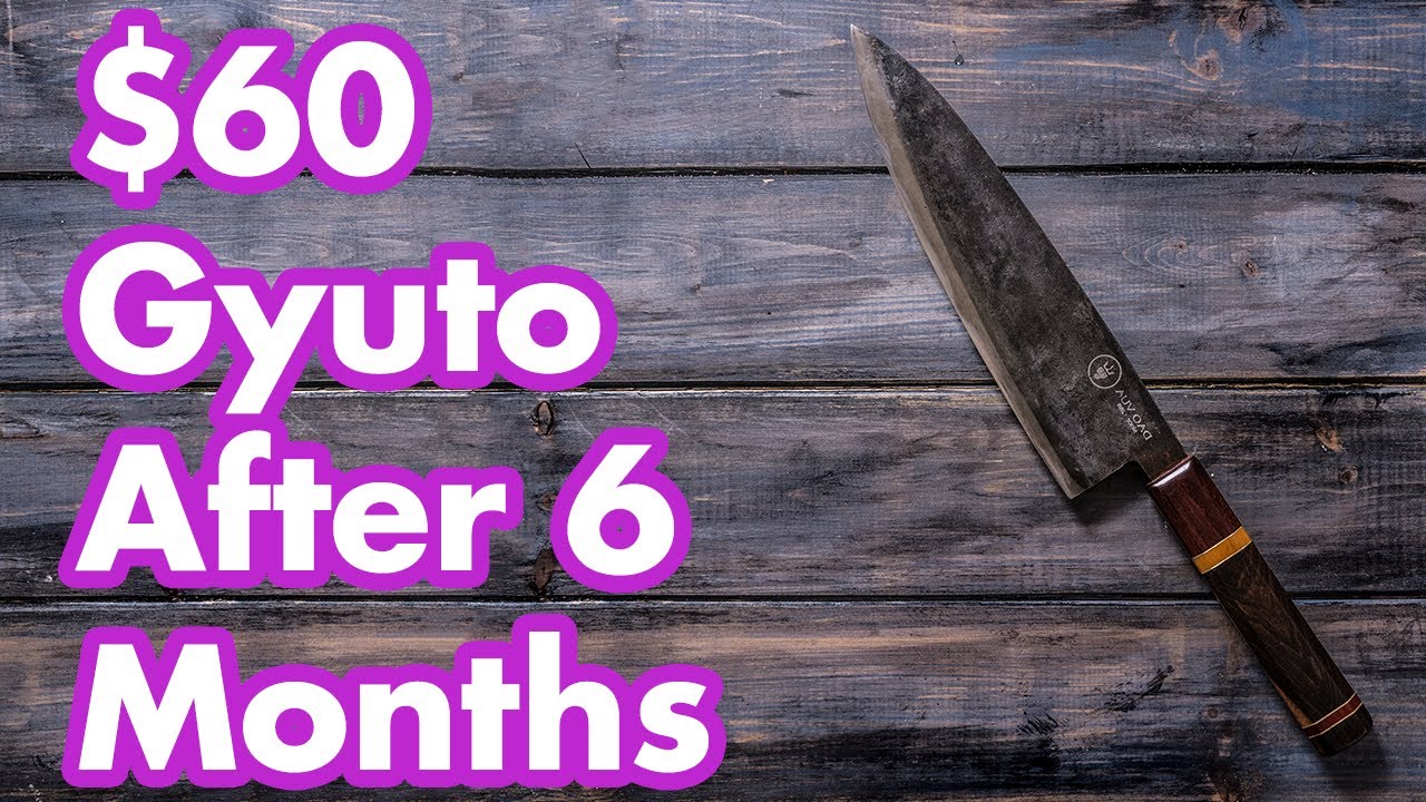 DaoVua Spring Steel Gyuto After 6 Months