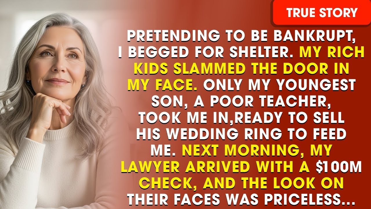 I Pretended to Be Homeless and Broke — Only My Daughter in Law Opened the Door
