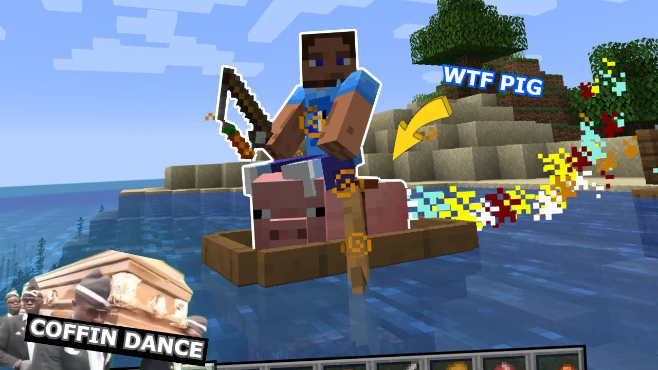 Wtf et Funny Moment *COFFIN DANCE* part 7