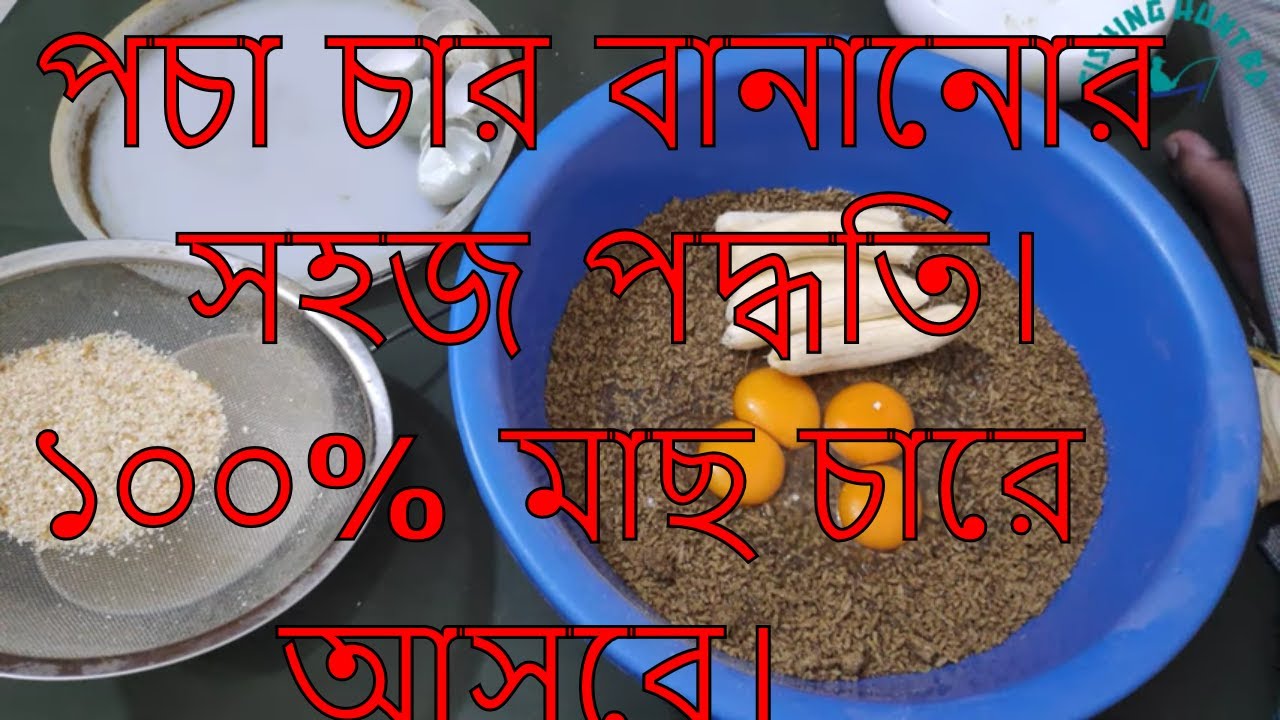 রুই মাছ ধরার সেরা চার বানানোর কৌশল.Using local ingredient for Rohu fishing bait