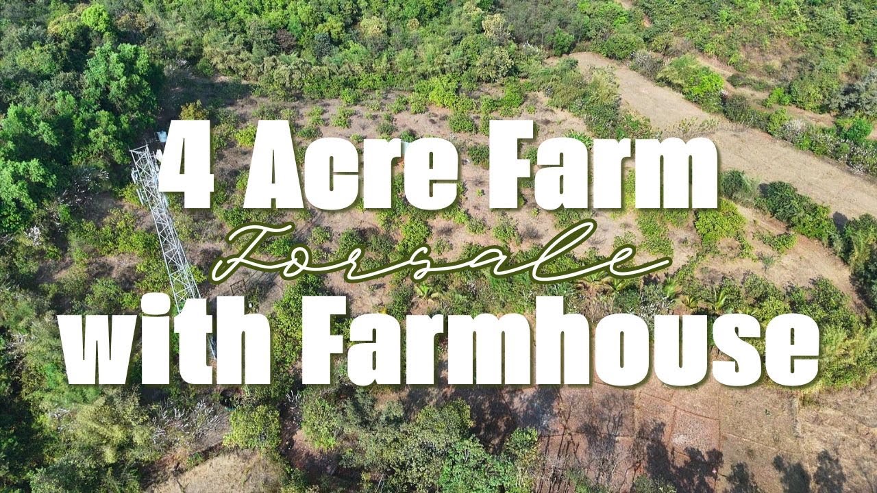 🌿Premium 4 Acre Income-Generating Farm Land for Sale – Gavane, Lanja | 