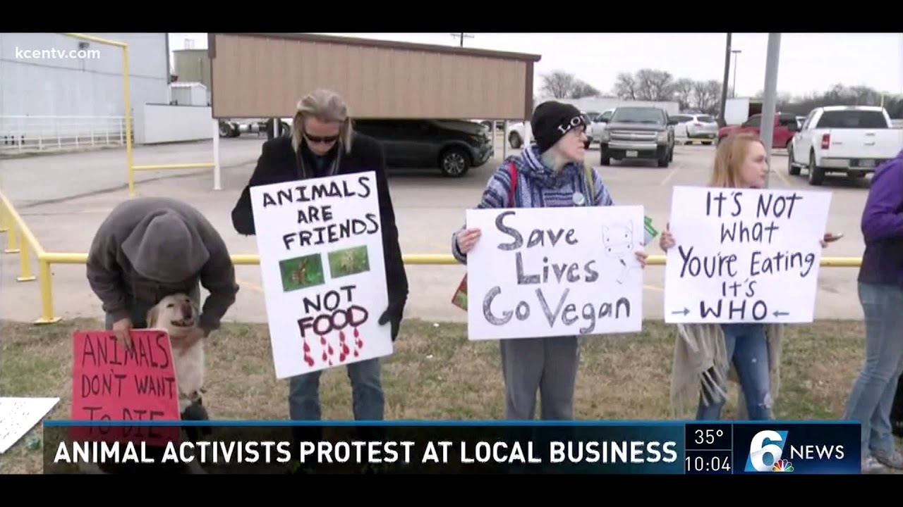 KCEN TV @ Waco Animal Save Vigil