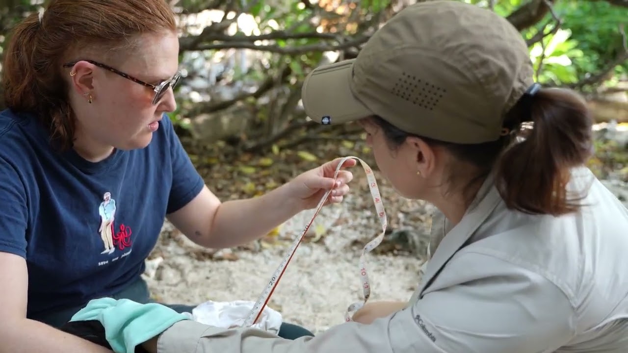Study reveals birds’ 'extraordinary' efforts to find a mate