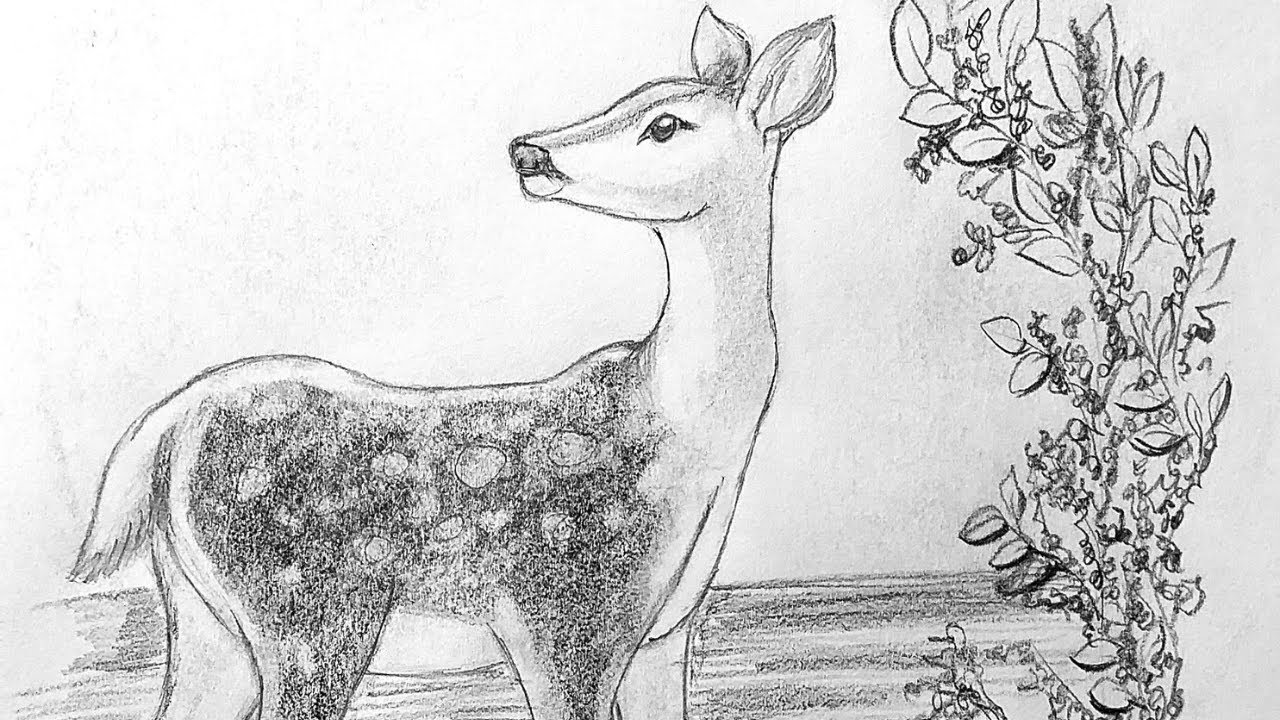 " How to Draw a Graceful Gazelle | Art That Captures Elegance & Speed"