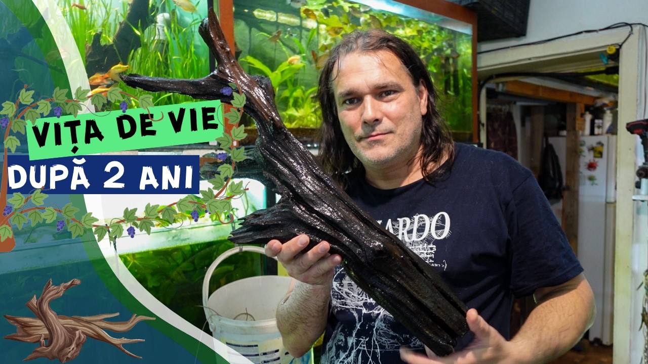 Vlog #43 | Vita de vie in acvarii part 2 - finally