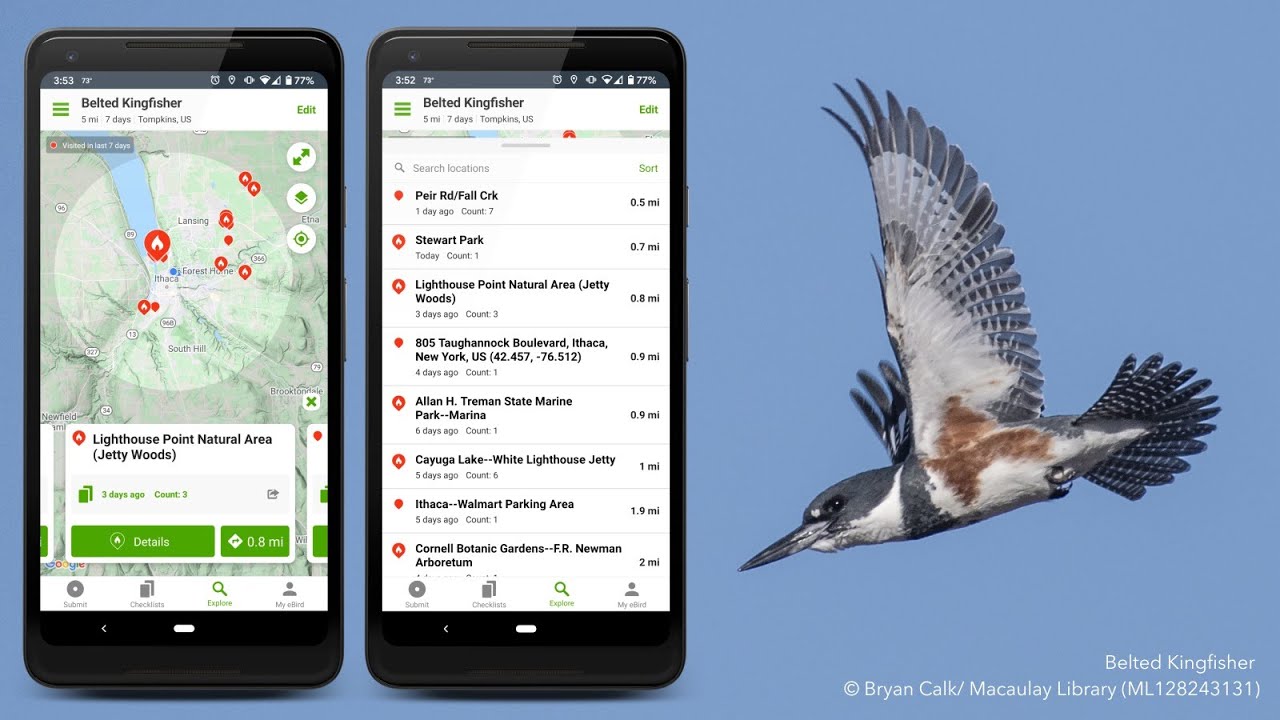 eBird Tips and Trick: Maximizing Your Use of the World’s Largest Citizen Science Database