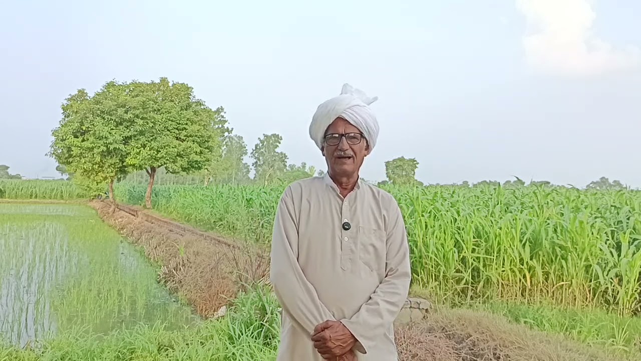 आप ने बहन भाई का ऐसा रिश्ता ना देखा होगा ना सुना होगा जो सभ्य समाज के लिए मिशाल बन गया खून के रिश्ते
