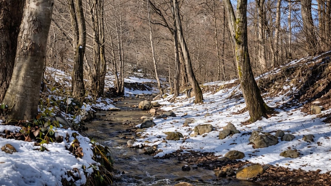 Walking Beside a Snowy River | Natural Sounds🌨️💧