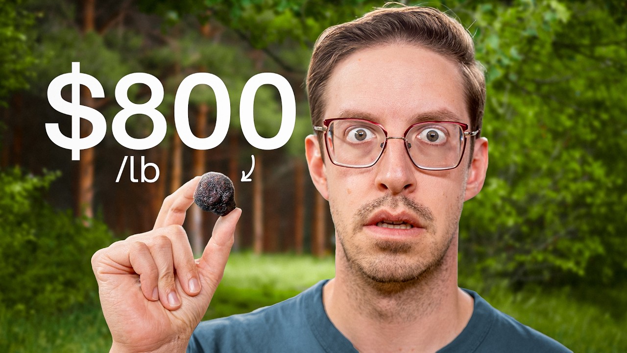 Try Guys Hunt The World's Rarest Food