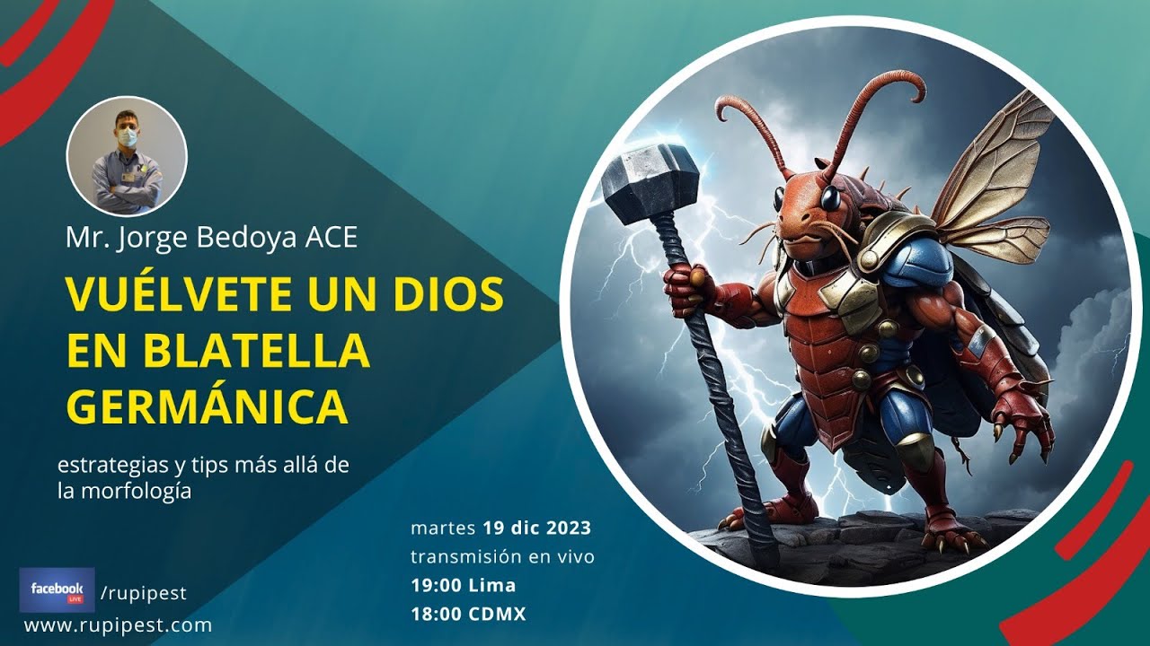 Rupipest: Conversatorio Vuélvete un Dios en Blatella Germanica