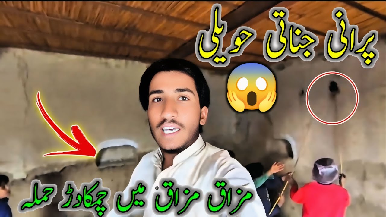 Hansi Mazaq Phir Dar 😰 اچانک حملہ 😳