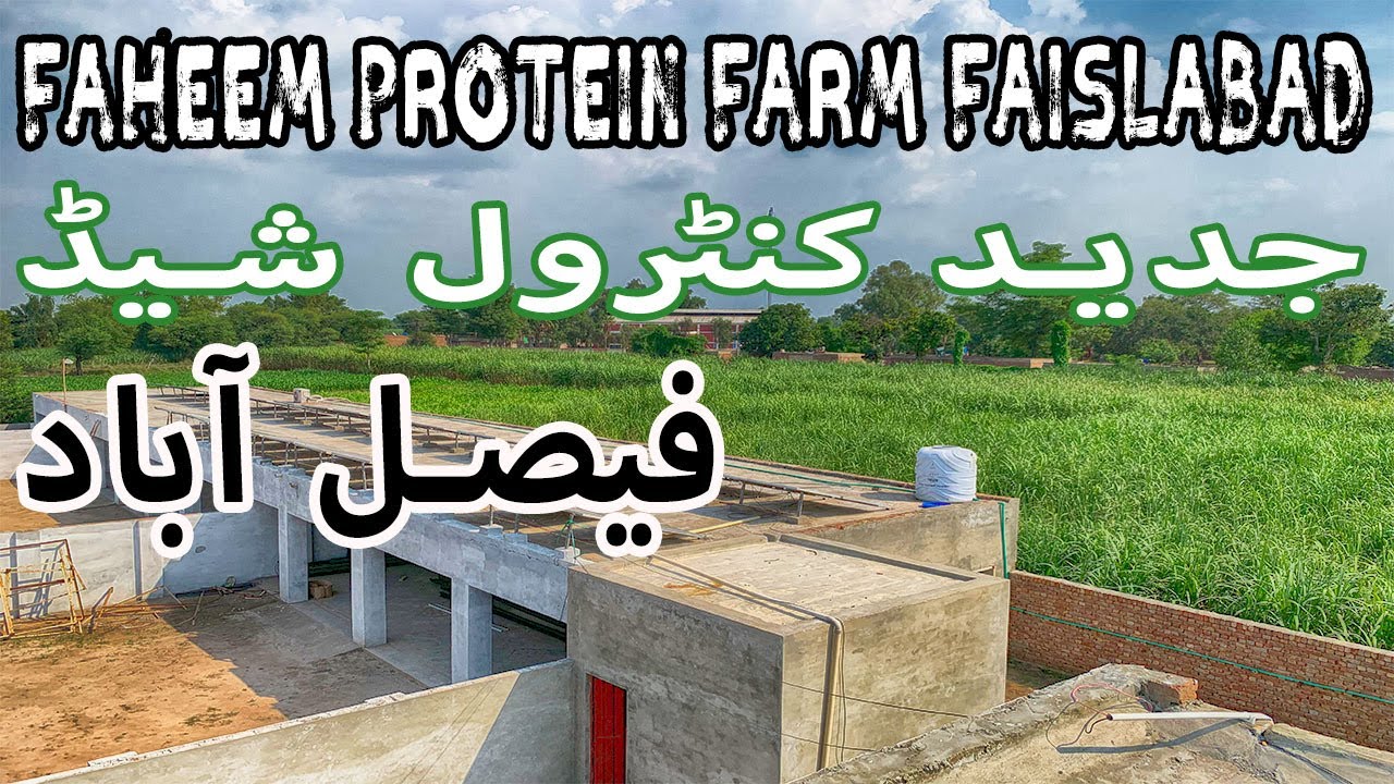 Faheem Protein Farm Control Shed Faislabad | Solar Energy Poultry Farm | Juttastic Vlogs
