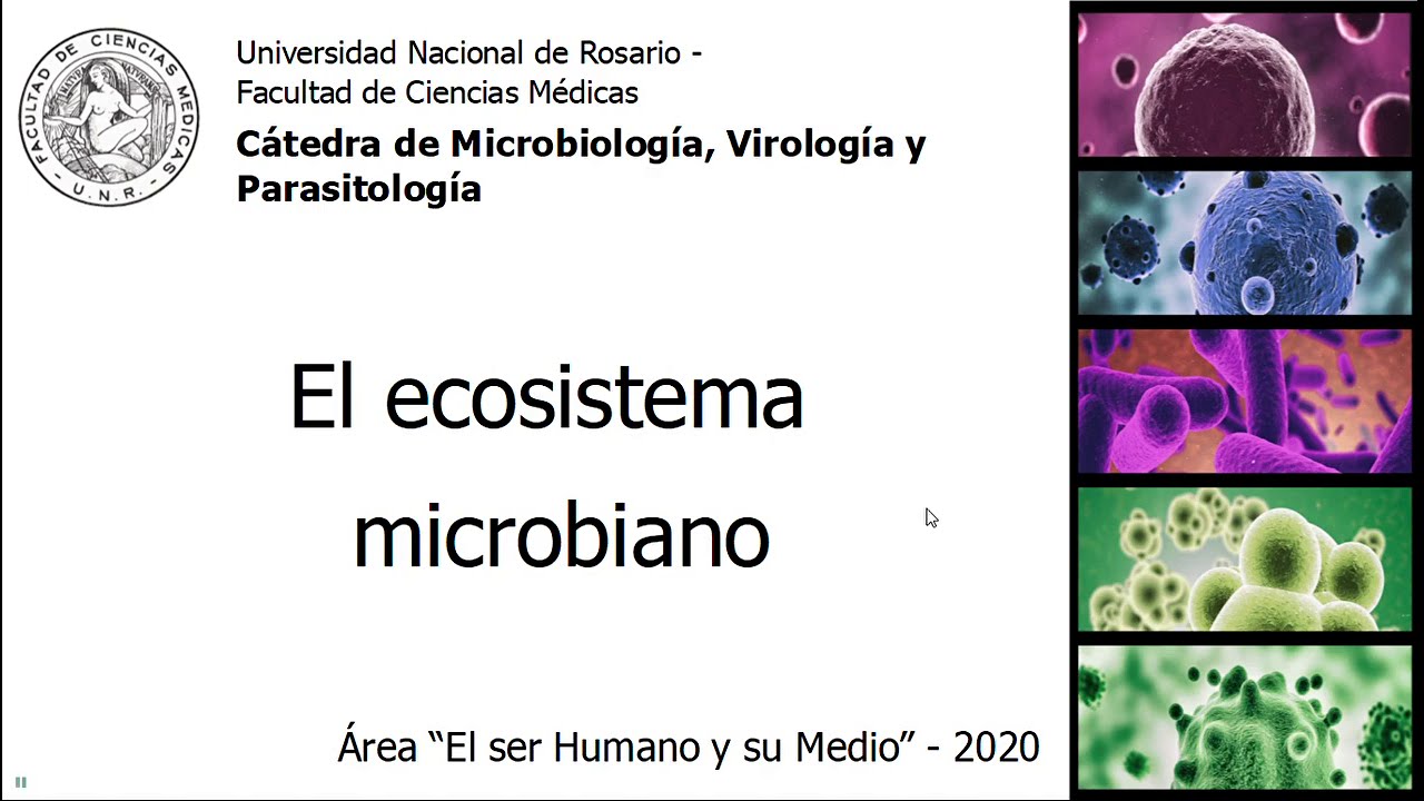 El mundo microbiano (parte 1). El ser humano y su medio 2020.