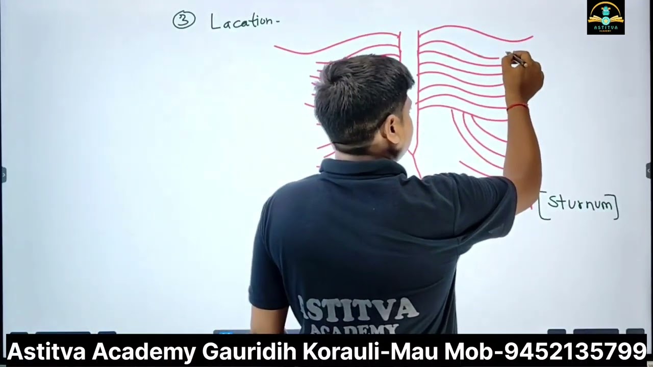 Class 12 Human Reproduction || स्तन ग्रंथि Mammary Gland की संरचना व कार्य || NEET & Board