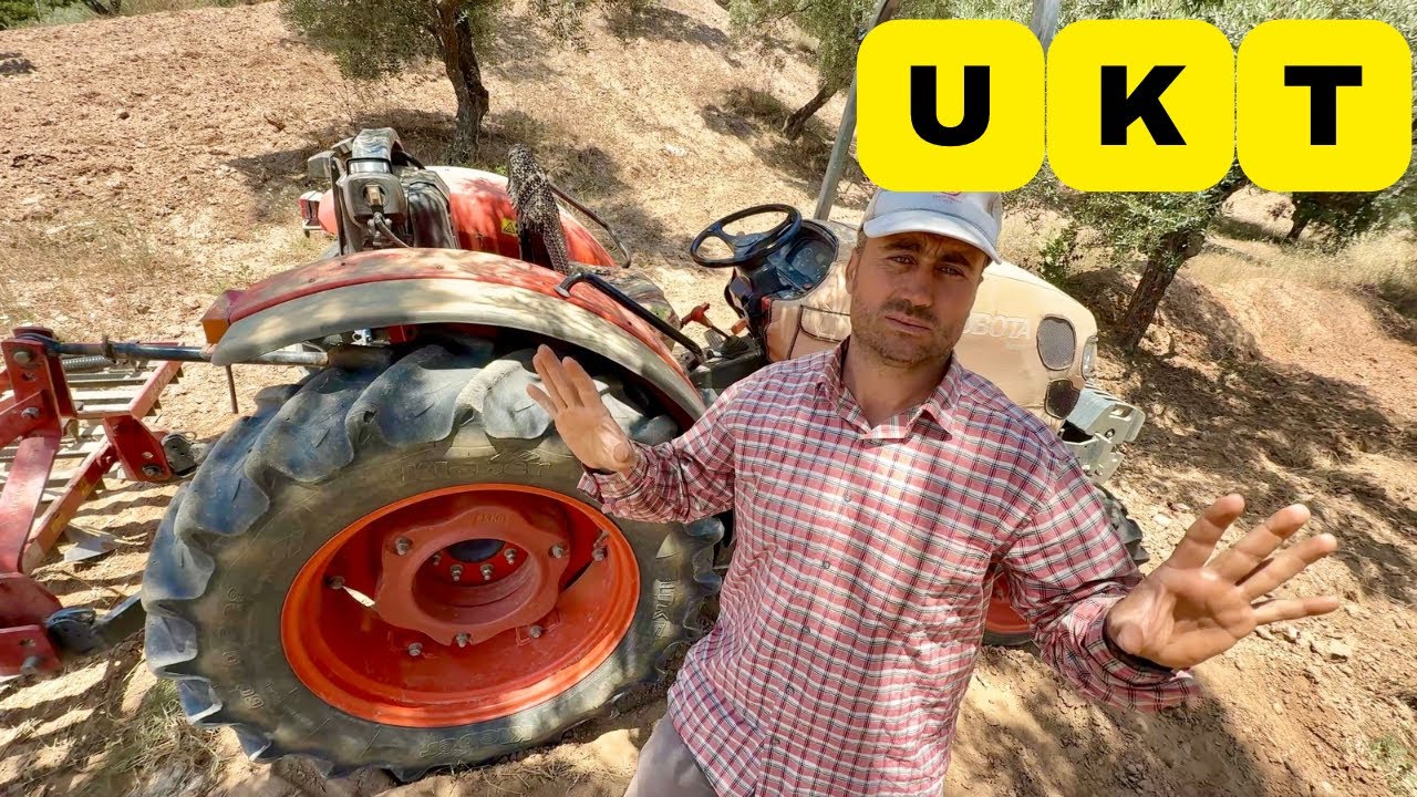 Kötü Yönleri İyi Yönleri - Kimler Almasın Kimler Alsın
