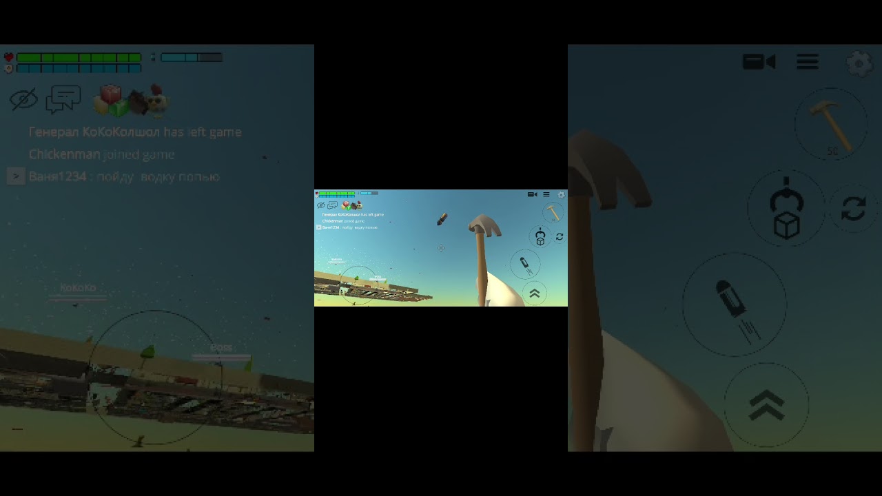 Trying chicken gun