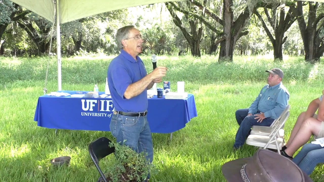 Perennial Peanut Field Day - Dr. Lynn Sollenberger