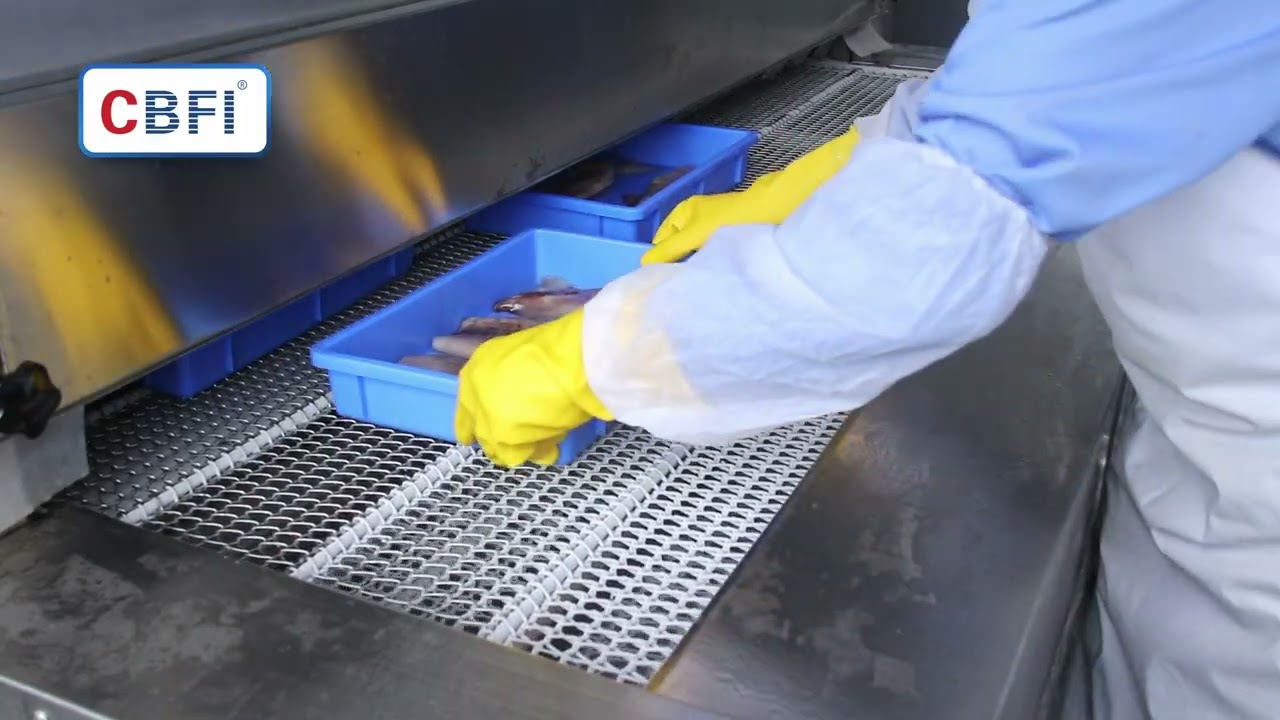 1 ton per hour Tunnel Quick Freezer for quickly freezing #Squid #CBFI #freezer #tunnelfreezer