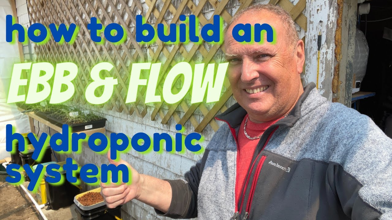How to build an Ebb and Flow Home Hydroponic system - for larger plants - DIY