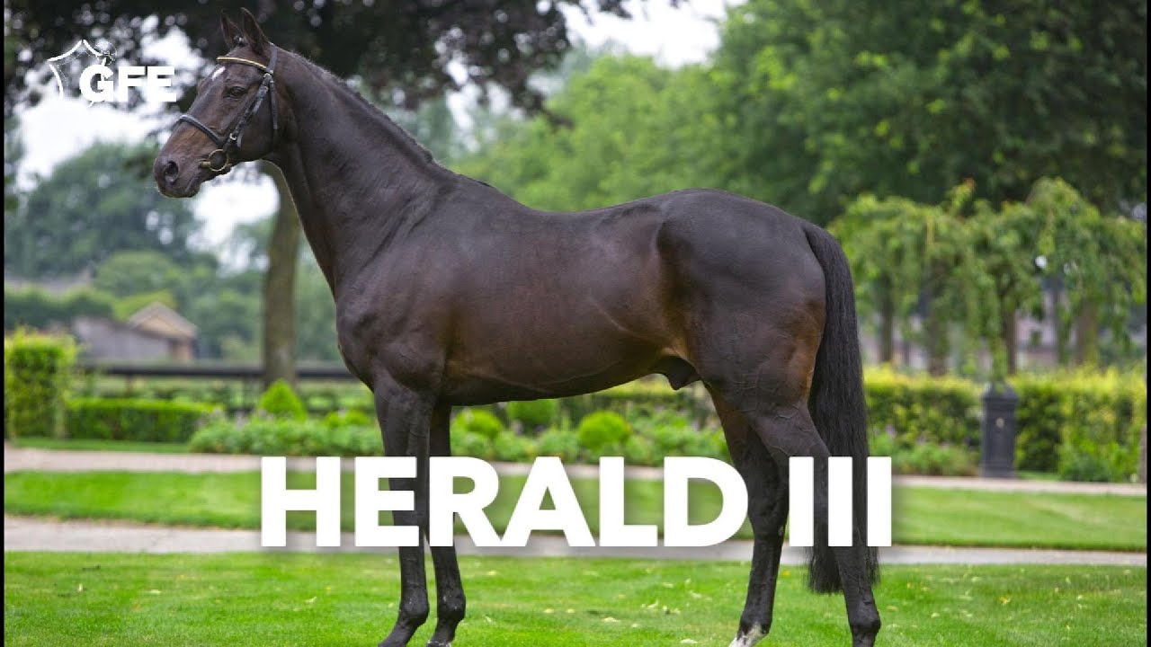 Herald III - 2020