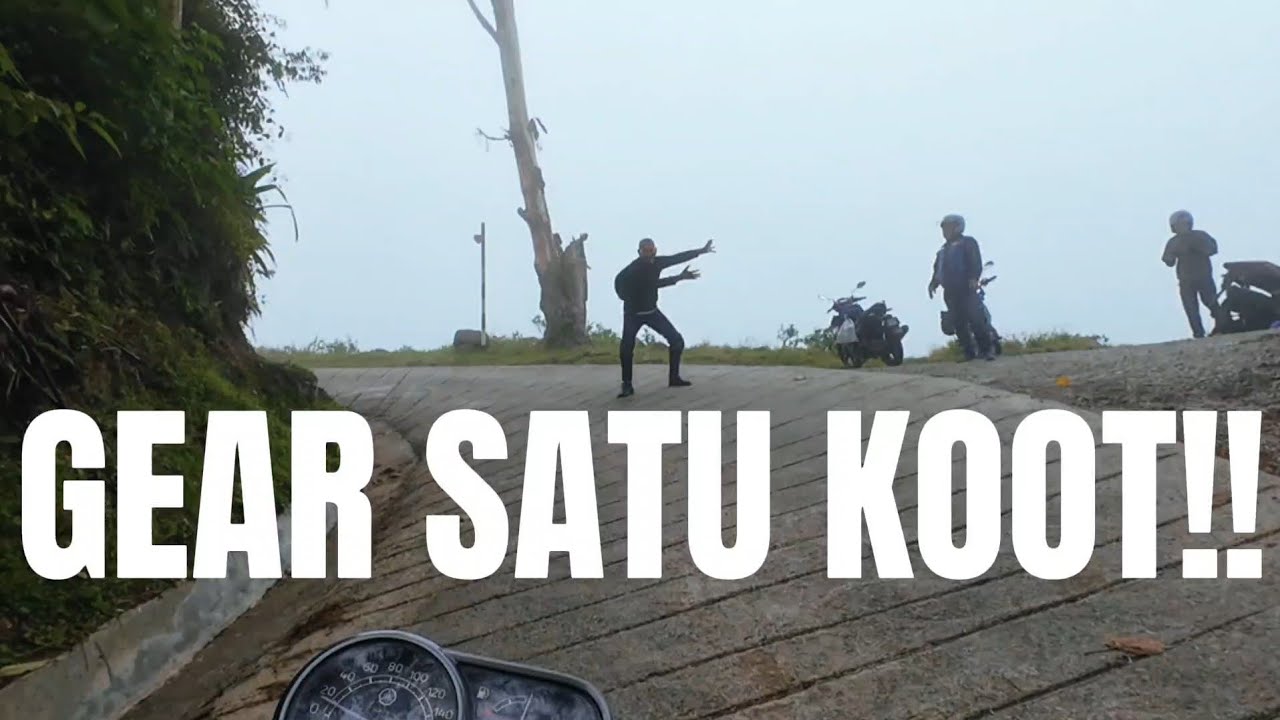 YAMAHA PG-1 KE MOSSY FOREST (RAW)
