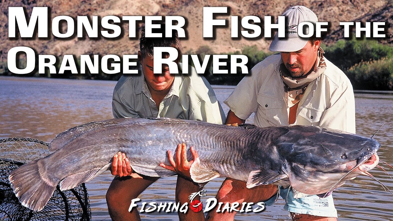 Fishing for Monster fish in the the lower Orange River, Southern Africa