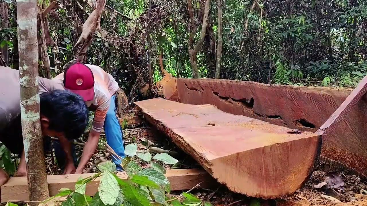 Kayu ulin pedalaman... Halus dan mulus