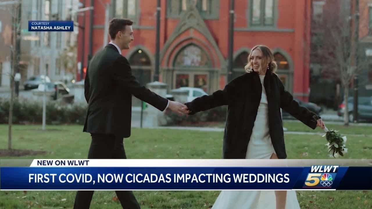 From COVID-19 to cicadas: New headache for brides that have postponed weddings due to pandemic