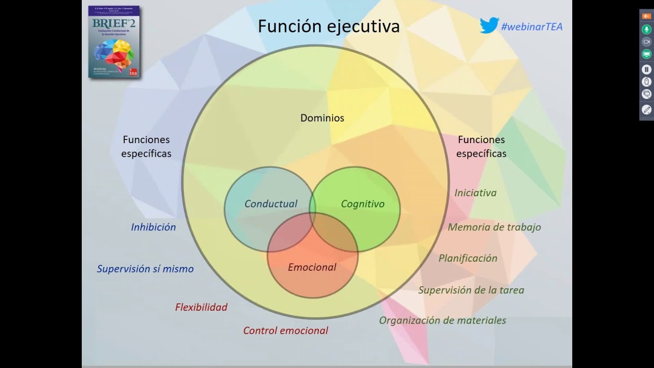 Evaluación de las Funciones Ejecutivas: BRIEF-2