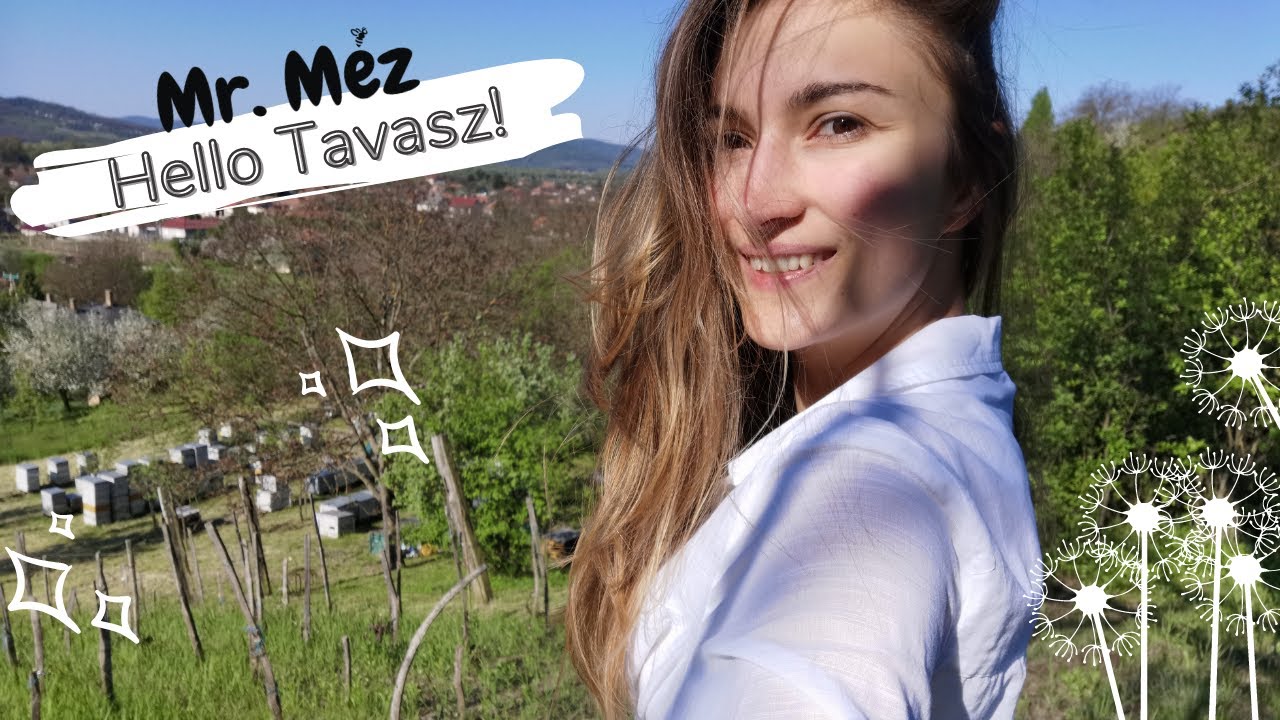 Tavaszi pillanatfelvételek | Gyermekláncfű italok mézzel