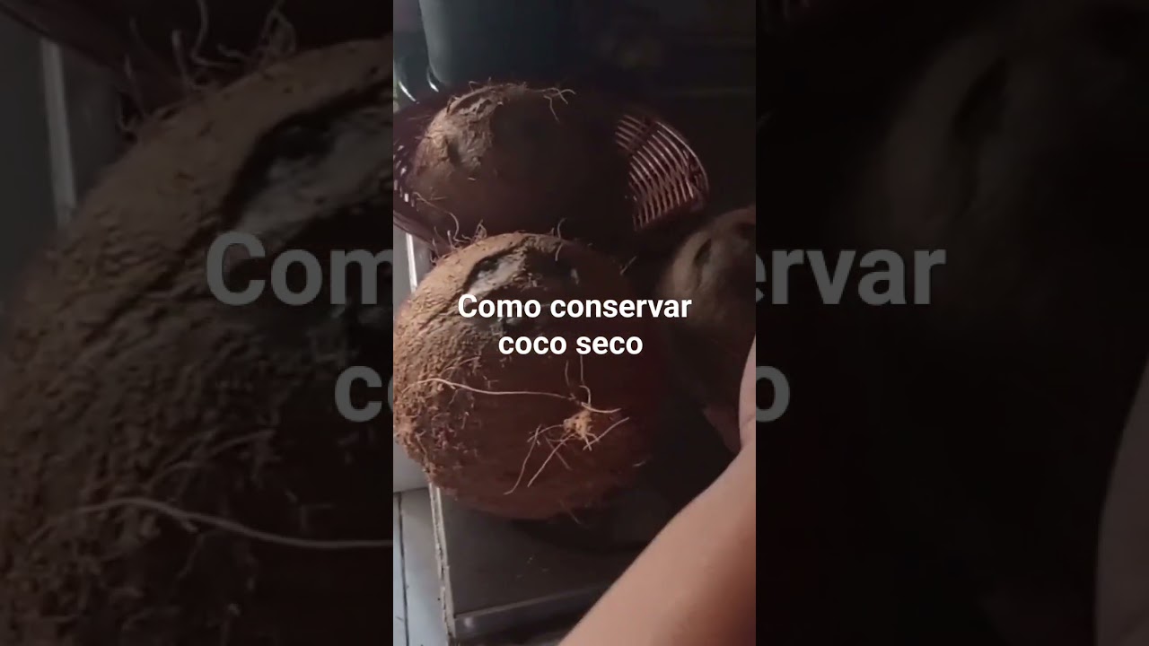 #como conservar coco seco em casa