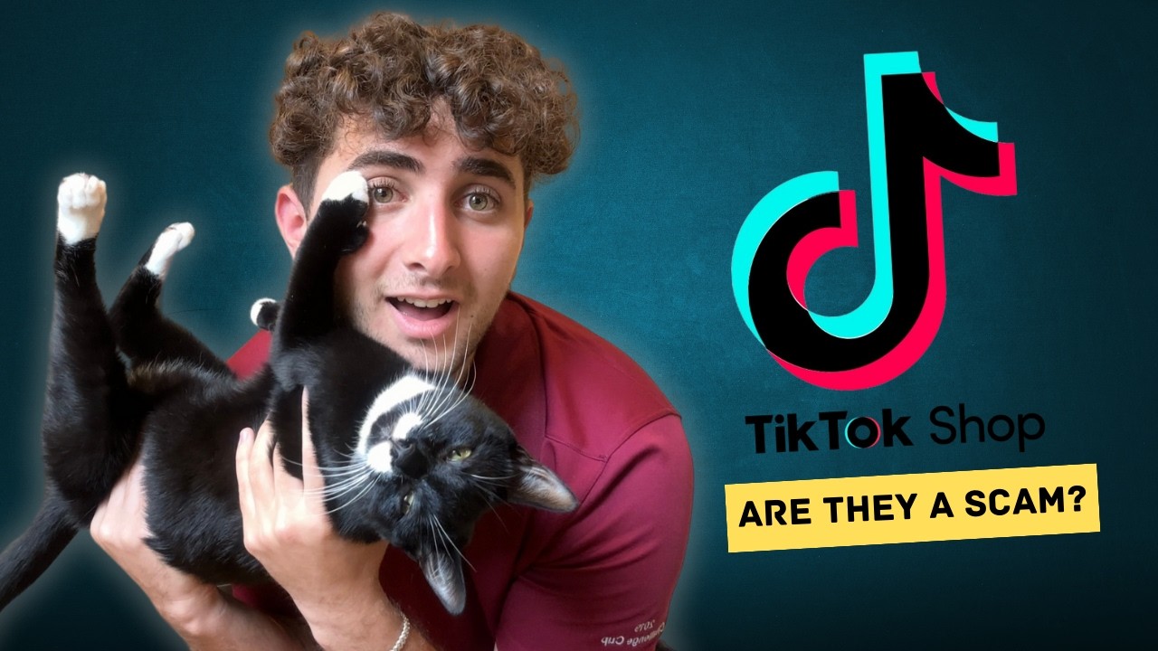 Тестирование товаров для кошек из магазина TikTok...