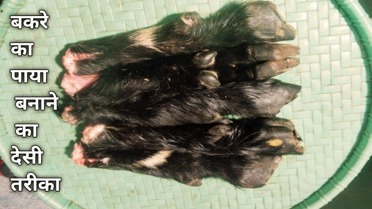 बकरे का पाया बनाने का नया और देसी तरीका कोई नहीं बताएगा।। paya  recipe #food @Azmat Bano-dw7eh