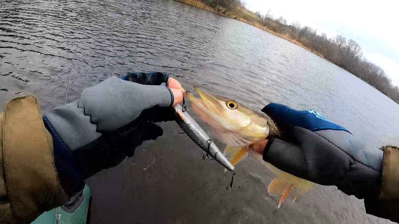 Lydekos vėlyvą rudenį ///KONKURSAS///