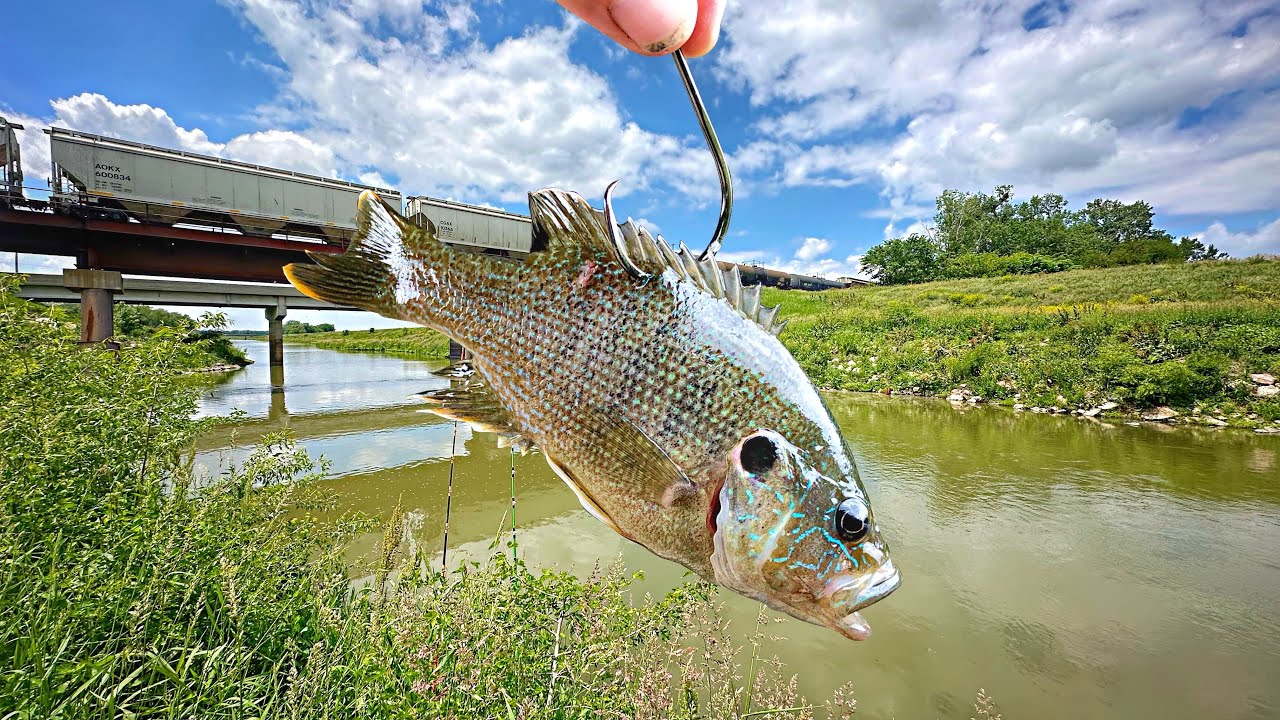 River Monsters Migrated Into This BOTTOMLESS CANAL!!! (Violent Takedown)