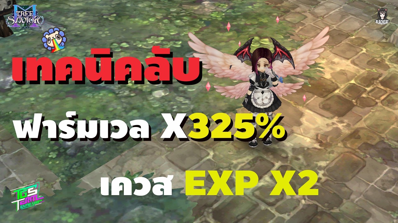 Tree of Savior M Extreme เทคนิคลับ ฟาร์มเวล 325% เควส EXPx2 LVพุ่ง50วันแรก ใส่โค้ดทำยังไง
