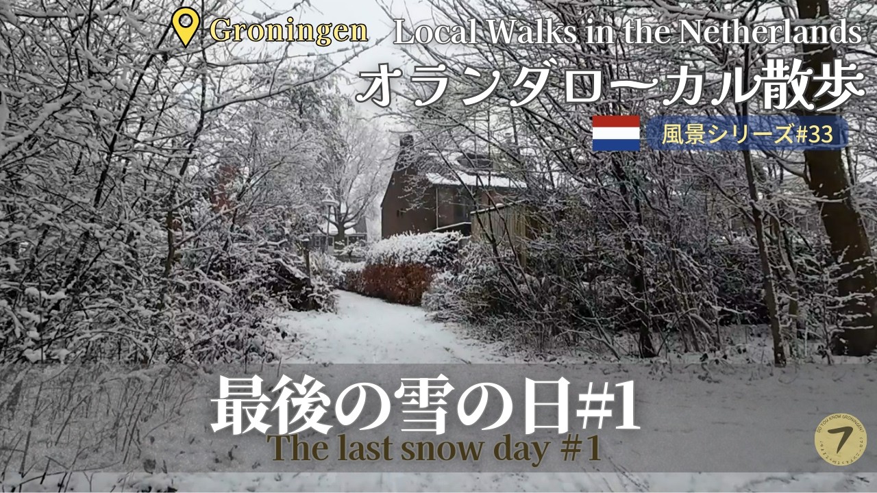 【雪景色】今季最後の雪景色#1 | The last snow day #1【オランダ 】【フローニンゲン】#33