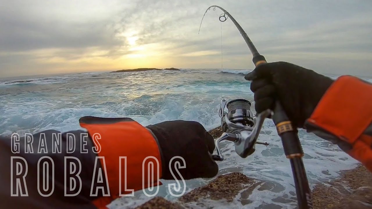 Pesca Spinning - Dica na descrição - Portugal