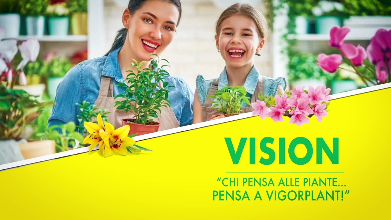 VIGORPLANT PER AICG