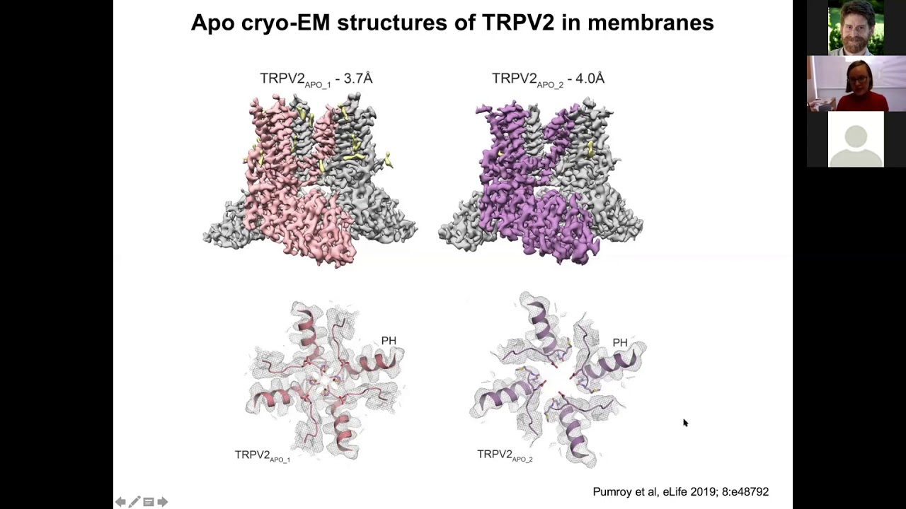 Prof. Vera Moiseenkova-Bell -- Structural insights into TRP channels gating
