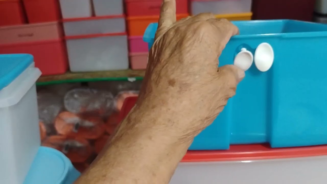 Promoção da Flor Tupperware até 20 de janeiro de 2026!