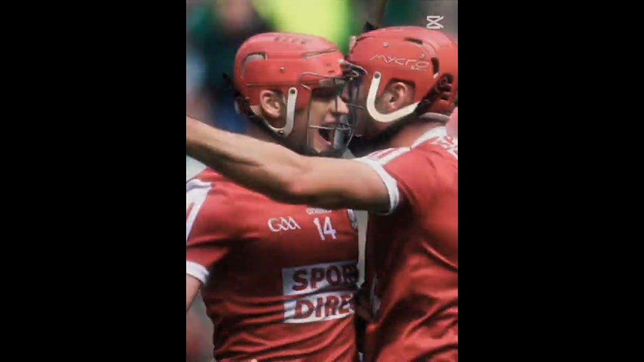 cork #hurling#gaa#cork#dublin#win#semifinal#corkvdublin