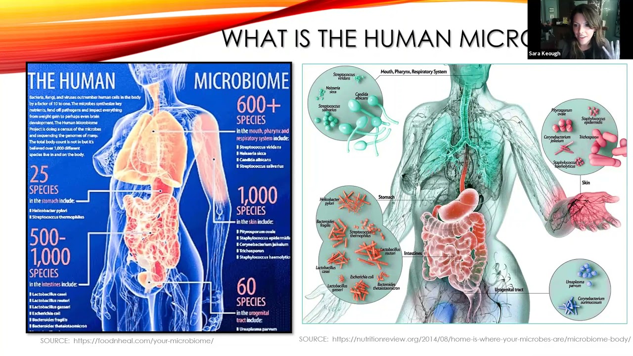 Regenerating Human Health the Soil & Human Microbiomes By Understanding Ag's Sara Keough MS CNS LDN