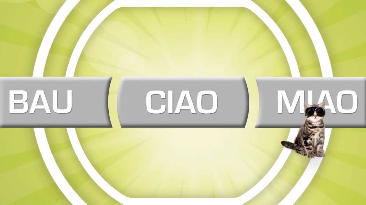Bau Ciao Miao - jimmygianmario &copy; - remix 2013