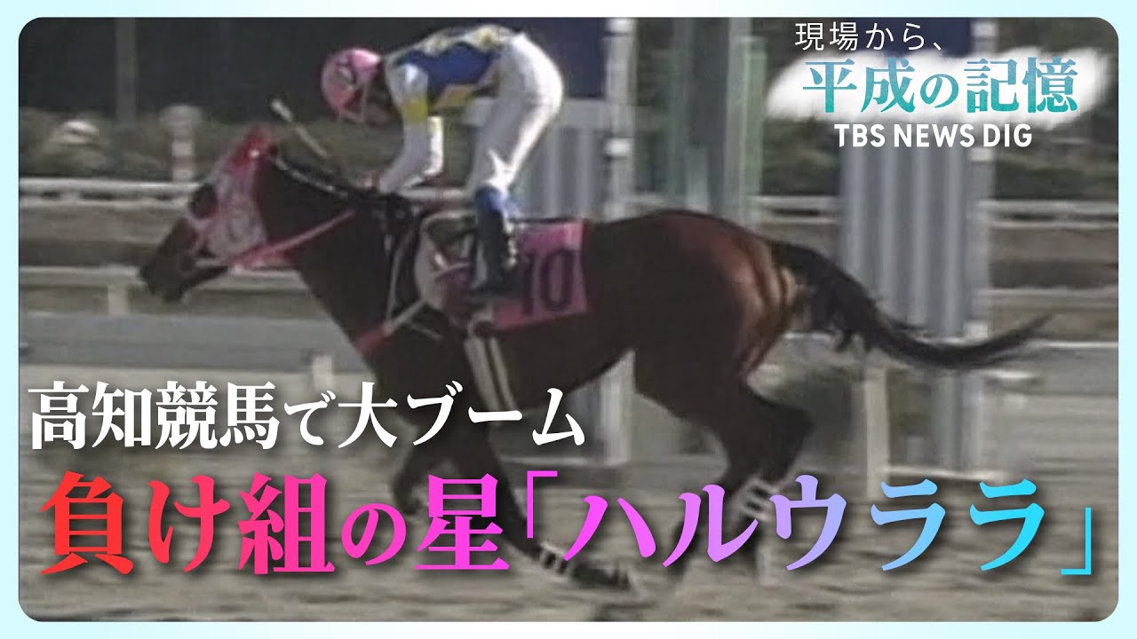【113連敗】地方馬なのに&hellip;武豊騎手と&ldquo;夢の競演&rdquo;！一体なぜ？負け続け、愛された名馬「ハルウララ」とは【平成の記憶】（2018年12月26日放送）