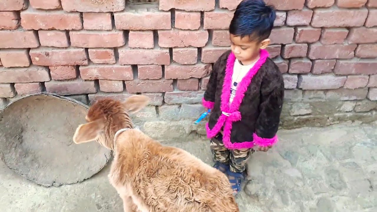 Chiku masti time