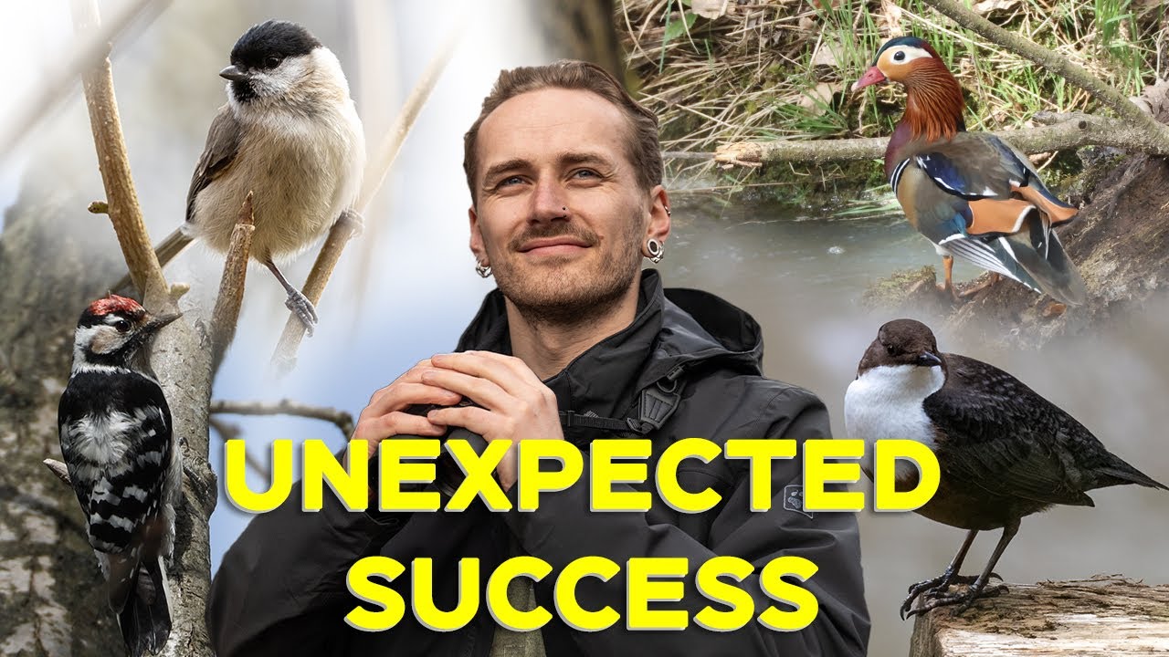 UNBELIEVABLE Luck Searching For DIPPERS In The Wyre Forest | UK Bird Photography