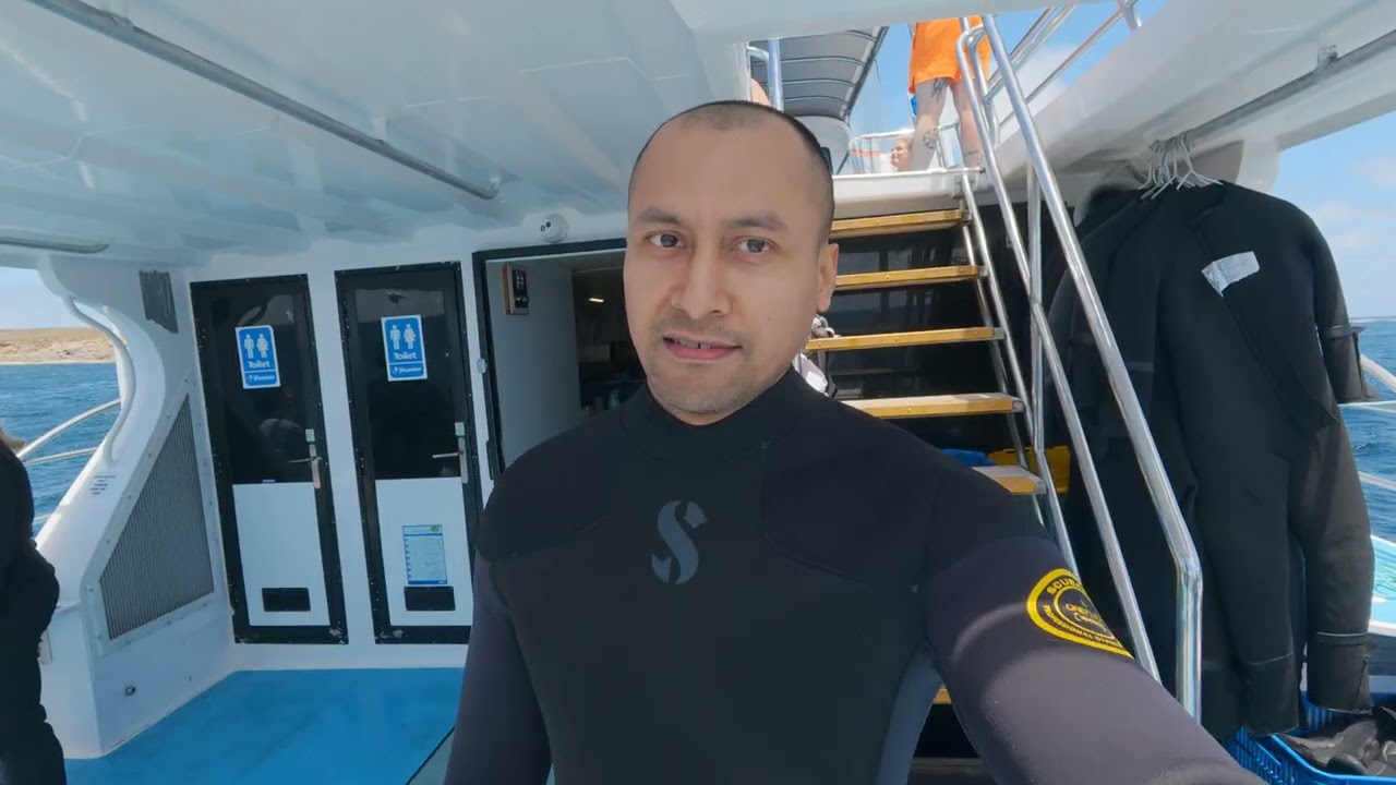 Went Shark Diving And Got Sea Sick