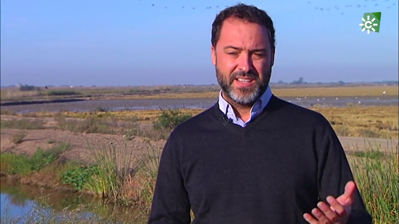 Espacio protegido | C&oacute;mo se desarrollan los abonos m&aacute;s naturales